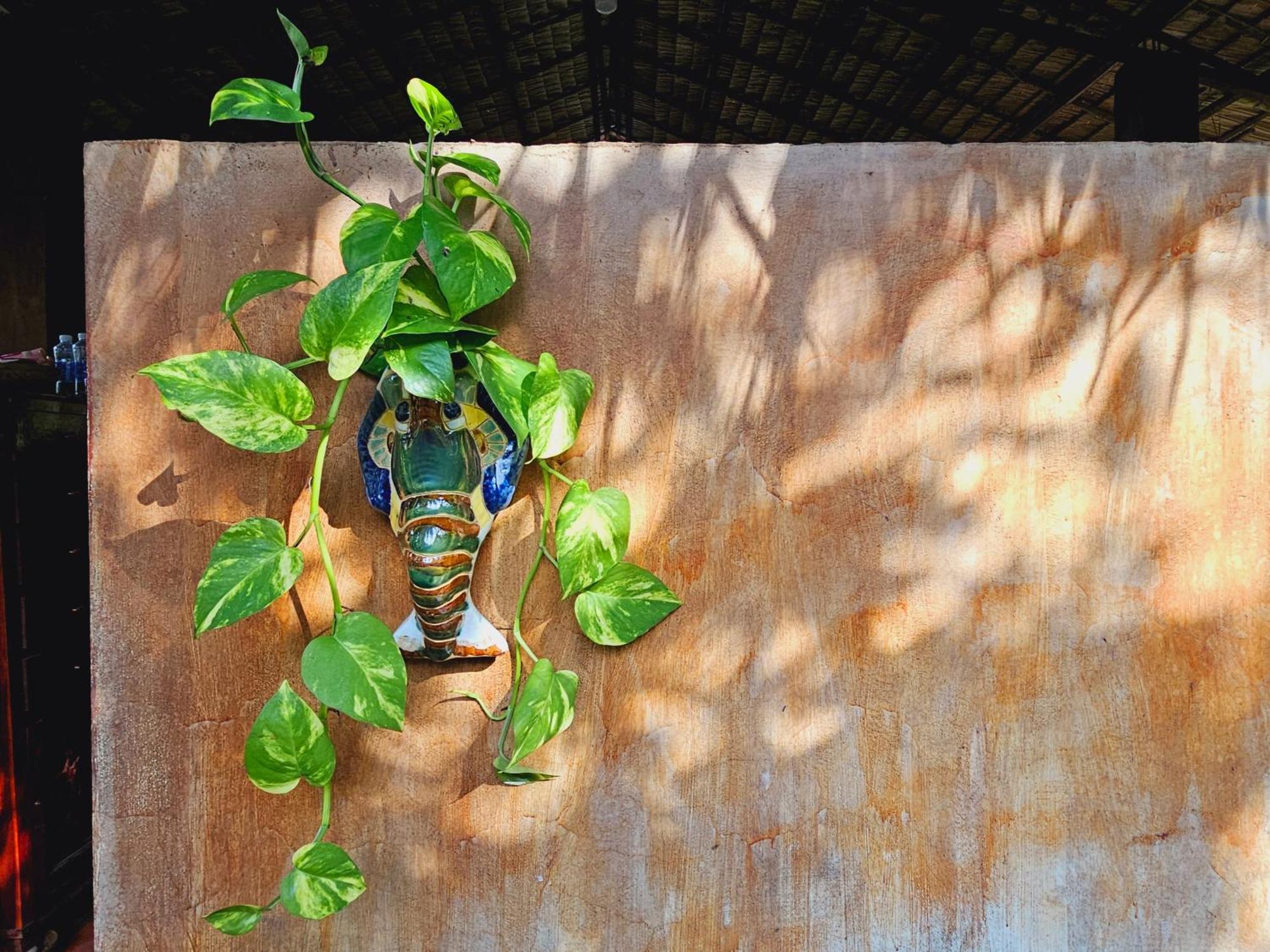 Ba Danh Homestay & Kitchen - Ben Tre Mekong Екстер'єр фото