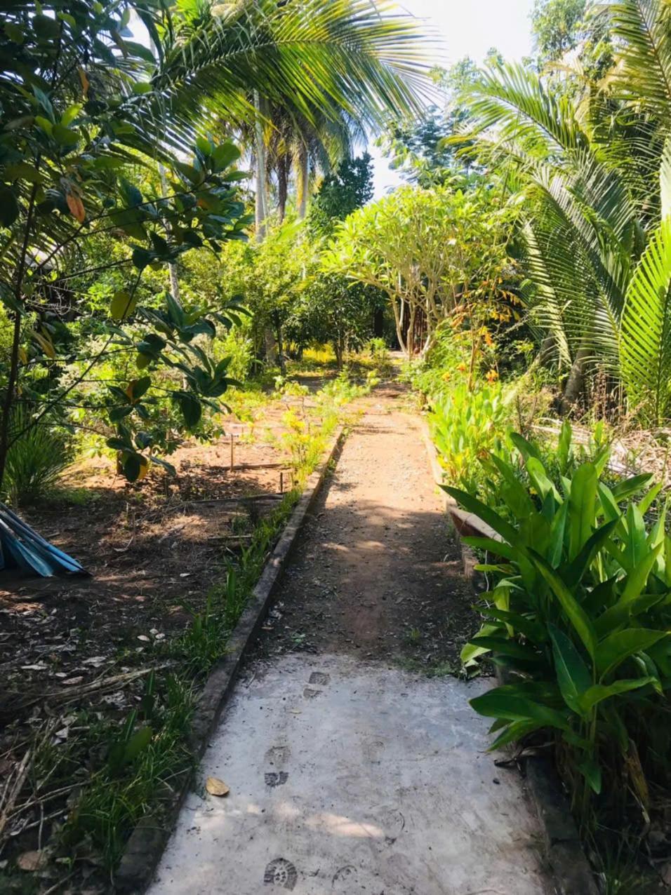 Ba Danh Homestay & Kitchen - Ben Tre Mekong Екстер'єр фото