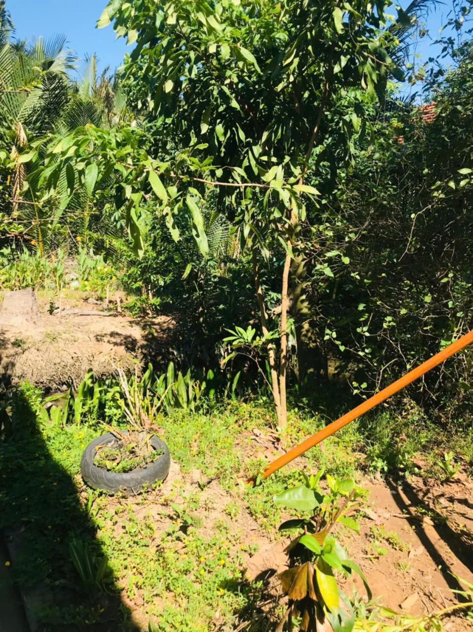 Ba Danh Homestay & Kitchen - Ben Tre Mekong Екстер'єр фото